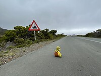 IMG_0831