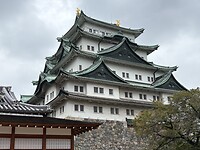 IMG_4635