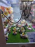 IMG_4795