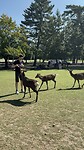 IMG_5059