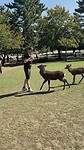 IMG_5061