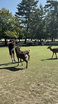 IMG_5060