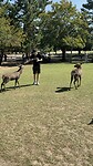 IMG_5064