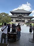 IMG_5141
