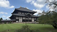 IMG_5135