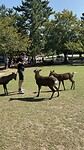 IMG_5062