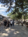 IMG_5109
