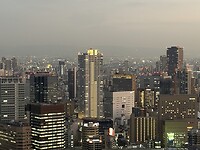 IMG_4974