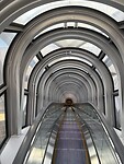 IMG_4927