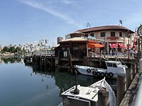IMG_5383