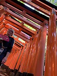 IMG_6204