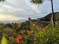 IMG_6350