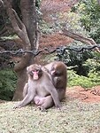 IMG_6460
