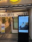 IMG_6487