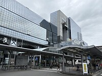 IMG_6554