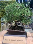 IMG_1475