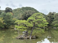 IMG_6522