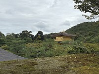 IMG_6525
