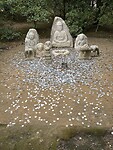 IMG_6524