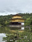 IMG_6513