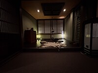IMG_6856