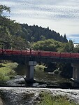 IMG_6786