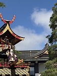 IMG_6759