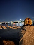IMG_7049