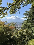 IMG_7061