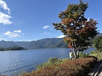IMG_7113