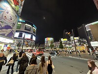 IMG_7204