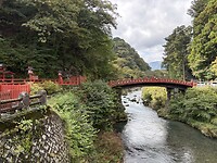 IMG_7207