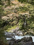 IMG_7213