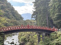 IMG_7237