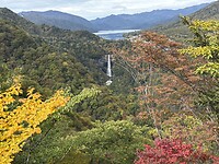 IMG_7355
