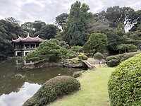 IMG_7485