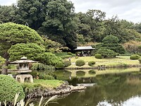 IMG_7512
