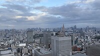 IMG_7534