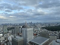 IMG_7527