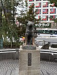 IMG_7600