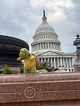 IMG_0440