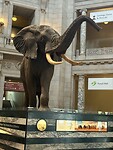 IMG_0490
