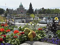 IMG_1442