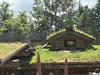 IMG_1532