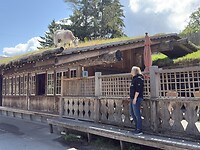 IMG_1568