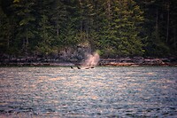 IMG_1999