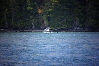 IMG_3084
