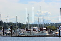 IMG_1775