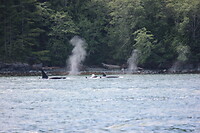 IMG_1756