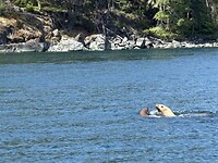 IMG_1682